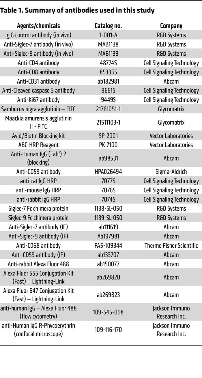 Summary of antibodies used in this study