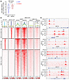 Inhibition of HNF4G transcription accounts for BETi-mediated inhibition of
