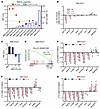 Patient-derived organoids with high HNF scores show increased sensitivity t