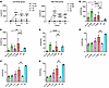 β-Gal activity in systemic organs.