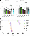 T treatment improves survival of GM1 mice.