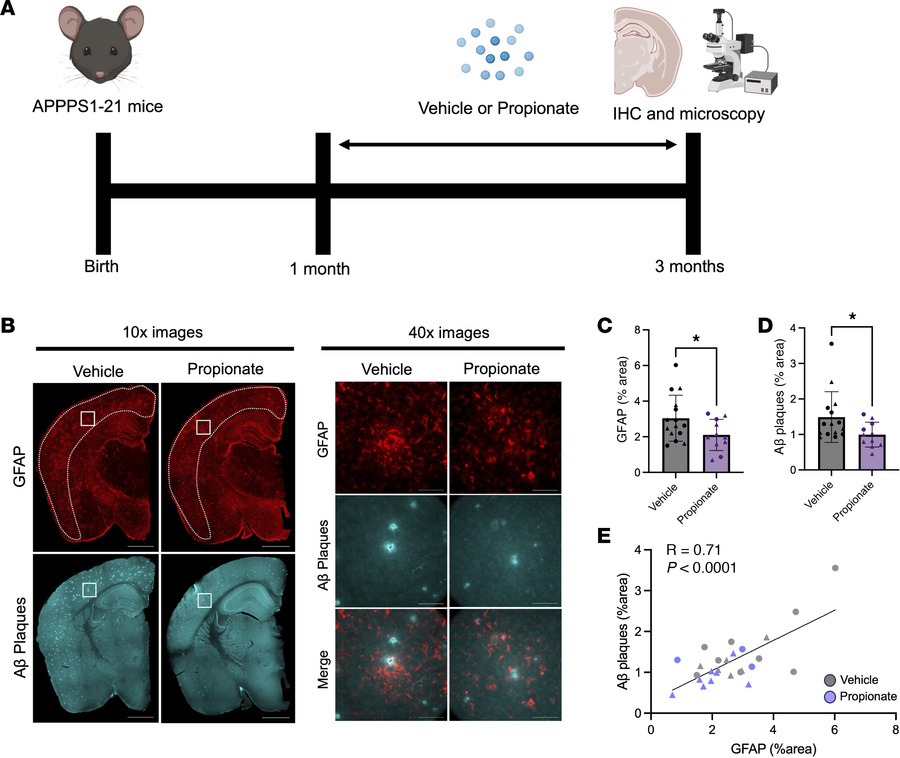 Exogenous propionate treatment reduces GFAP+ astrocytes and Aβ plaques i...