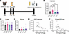 ABX-mediated GBM perturbation increases plasma propionate levels, which neg