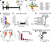snRNA-Seq reveals changes in astrocytic transcription and subclusters upon