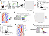 TRAP-Seq reveals changes in astrocytic transcription upon ABX-mediated GMB