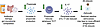 Hypothesis of ABX-mediated GBM control of reactive astrocytosis and amyloid
