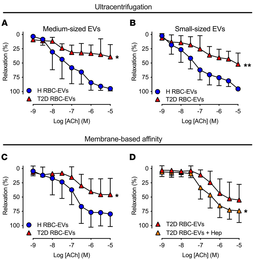 T2D RBC-EVs induce endothelial dysfunction, rescued by uptake inhibition...