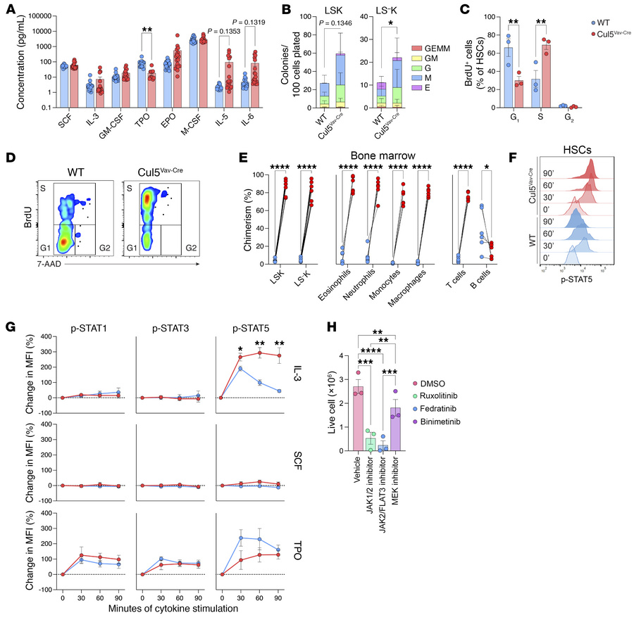 Cul5-deficient HSPCs exhibit cytokine hypersensitivity.
(A) Serum concen...