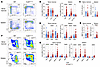 Cul5 regulates HSPC proportions.