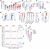 Cul5-deficient HSPCs exhibit cytokine hypersensitivity.