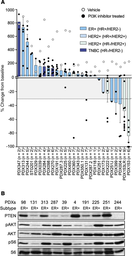 PI3K inhibitor monotherapy in PI3K mutant breast cancers.
(A) Waterfall ...