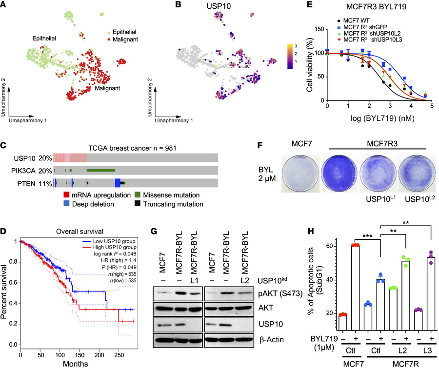 USP10 is upregulated in breast cancer and correlates with PI3Ki resistan...