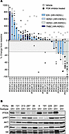 PI3K inhibitor monotherapy in PI3K mutant breast cancers.