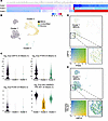 USP10 expression correlates with upregulation of PTEN and PI3K pathway sign