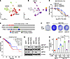 USP10 is upregulated in breast cancer and correlates with PI3Ki resistance.