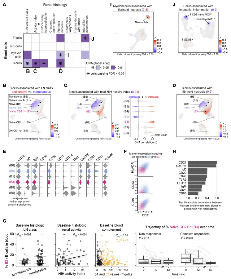 Association of circulating immune cell subsets with histologic patterns ...
