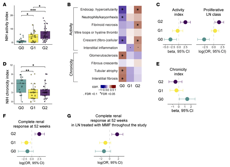 Blood-defined LN groups are associated with renal pathology and outcome....