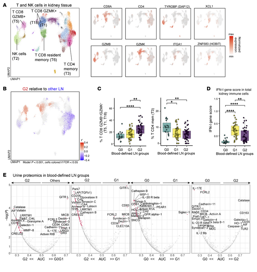 Blood-defined LN groups are associated with specific immune cell infiltr...