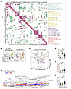 Distinct immune cell signatures in LN patients identified through unbiased