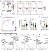 Blood-defined LN groups are associated with specific immune cell infiltrati