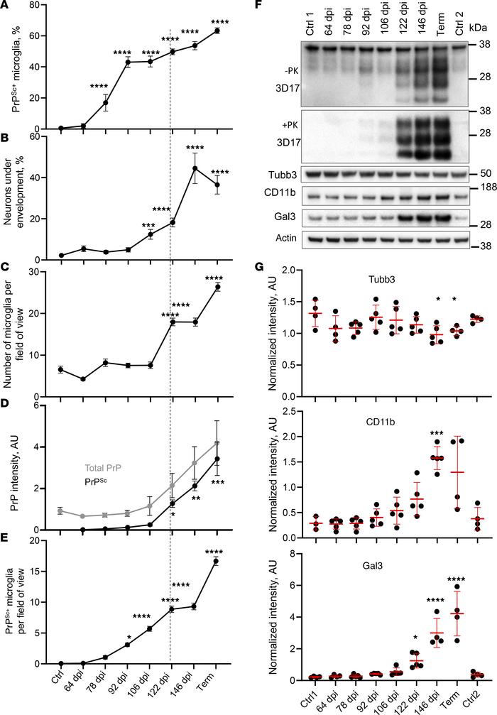 Time course of PrPSc uptake, neuronal envelopment, and microglia prolife...