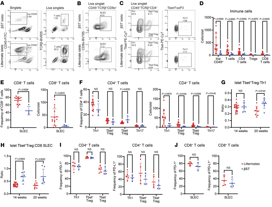 βST mice have a reduction in the type 1 immune response in the islet.
(A...