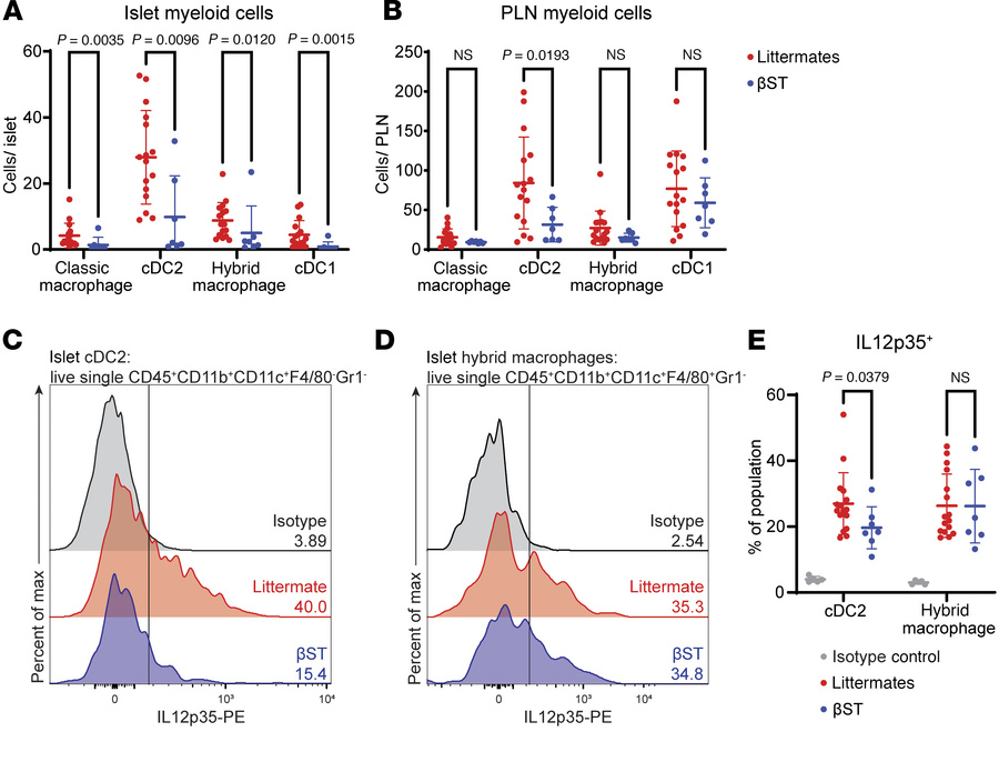 βST mice have reduced IL-12p35 expression in islet myeloid cells.
(A and...