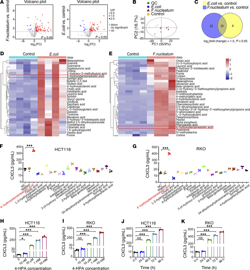 Nontargeted metabolomics reveal key metabolites that mediate CXCL3 secre...
