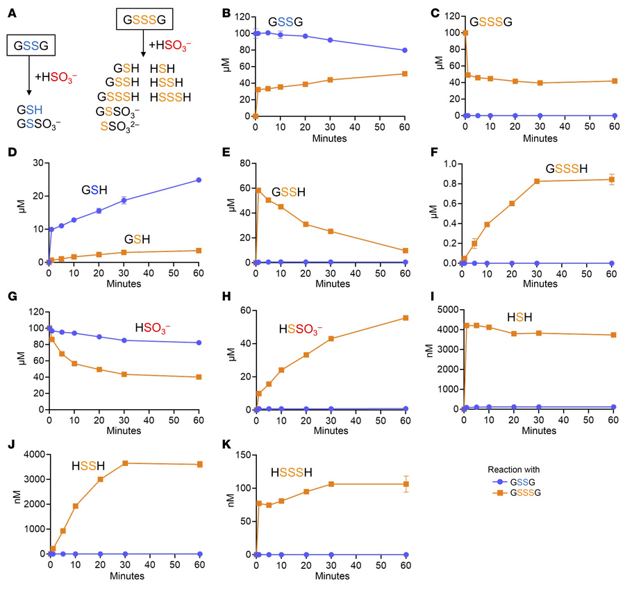 In vitro reaction of sulfite with GSSG and GSSSG.
(A) Expected species f...