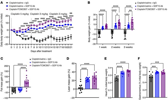 Combination therapy of TCMCB07+GDF15 antibody improves effectiveness in ...