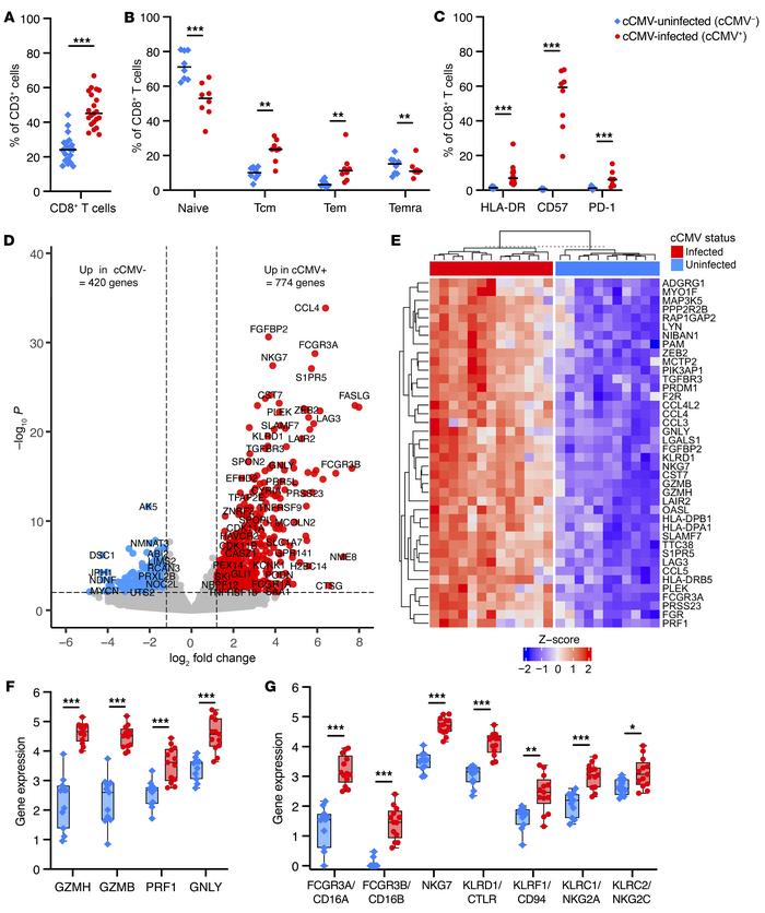 CD8+ T cells upregulate cytotoxicity and NK cell genes in cord blood fro...