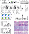 Ppil2 deficiency ameliorates Jak2V617F-induced myeloproliferative phenotype
