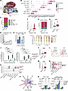 CTL activation and LAG3 upregulation in response to tebentafusp.
