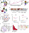 Network of proinflammatory and immunoregulatory functions in bystander cell
