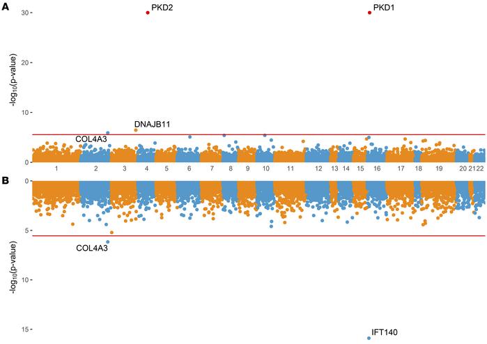 Unbiased rare variant analysis highlights IFT140 and COL4A3 as important...