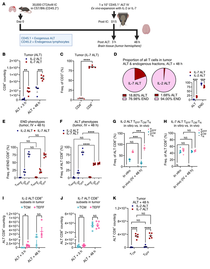 IL-7–expanded CD8+ T cells accumulating in tumor consist of both central...