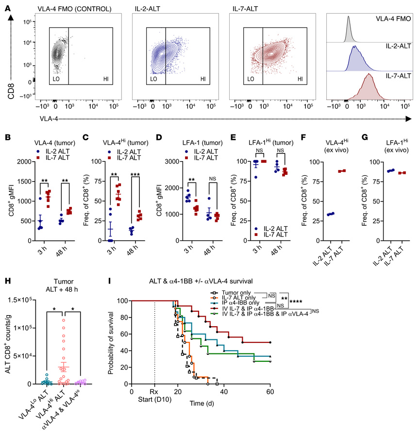 Expansion with IL-7 upregulates expression of the promigratory integrin ...