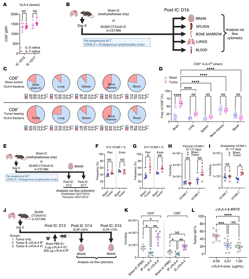 Lymphocytic VLA-4 &amp; endothelial/pericytic VCAM-1 expression increase...