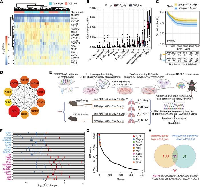 In vivo CRISPR screening for metabolic regulators of tertiary lymphoid s...