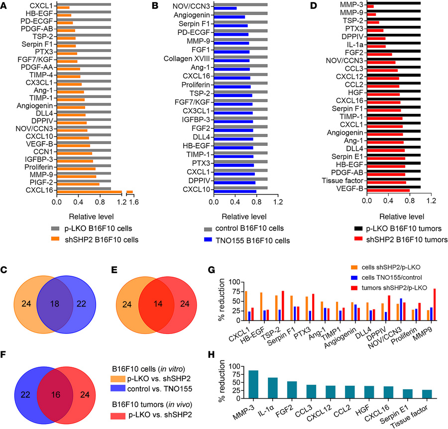 Effects of SHP2 depletion on angiogenesis regulatory proteins.
(A) List ...
