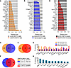 Effects of SHP2 depletion on angiogenesis regulatory proteins.
