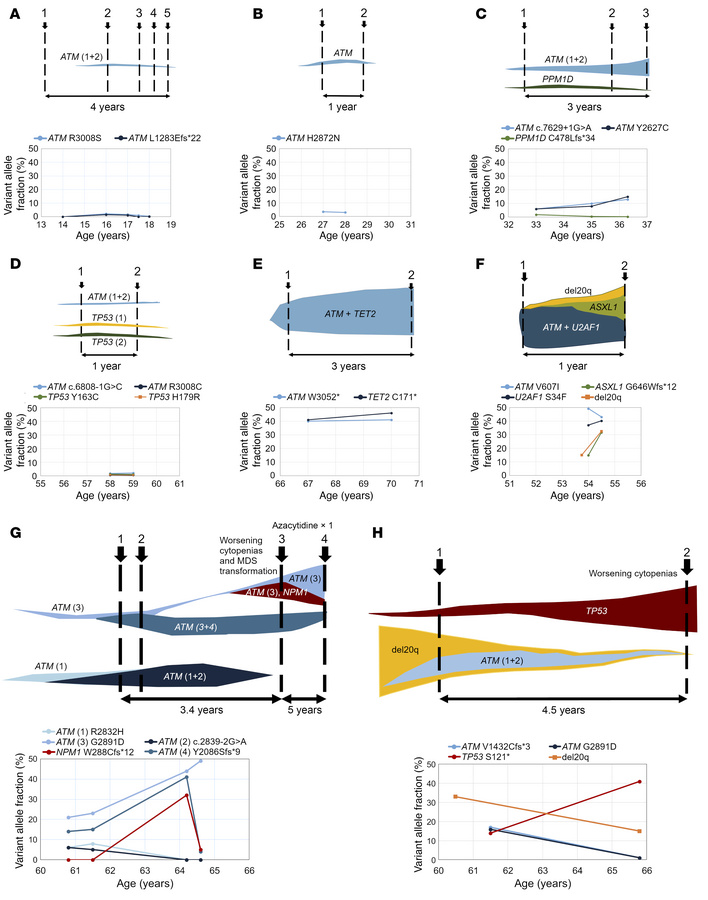 Longitudinal follow-up and clonal evolution in 8 patients with somatic A...