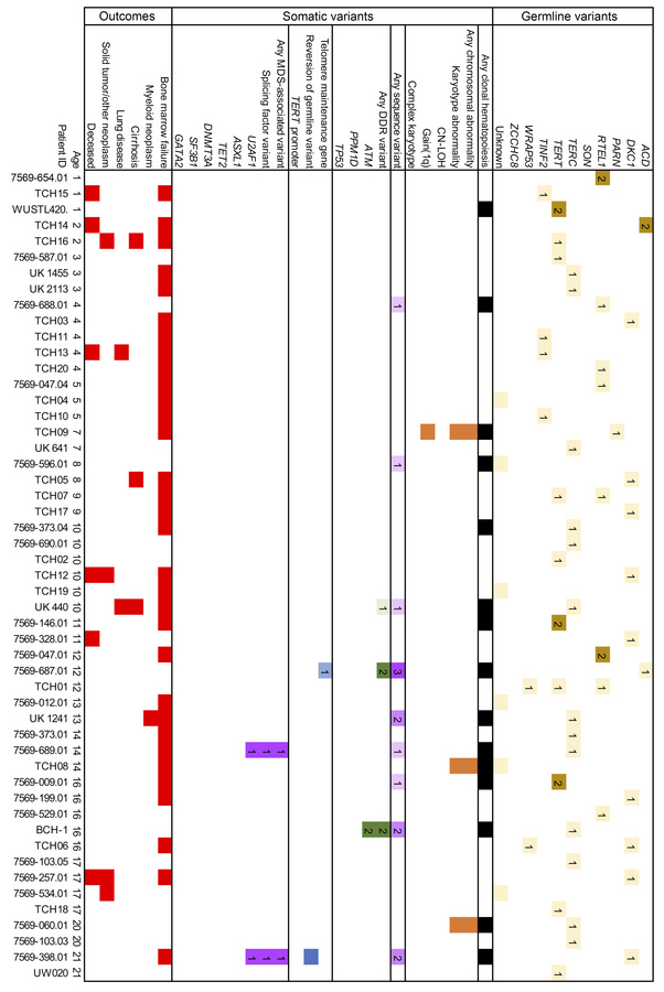 Summary of CH findings in pediatric TBD patients.
Each column represents...