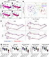 3-NP treatment changed overall mandible shape and size in embryos on a gene