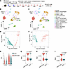 Fibrosis resolution in mice with CTLA4 blockade is associated with activati