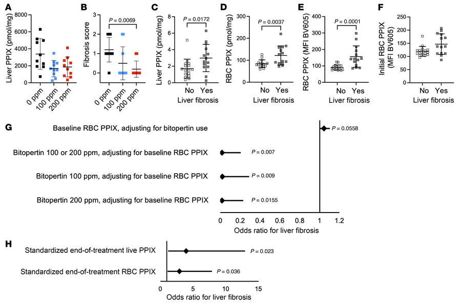 Liver response to bitopertin treatment in EPP mice.
(A) Quantification o...