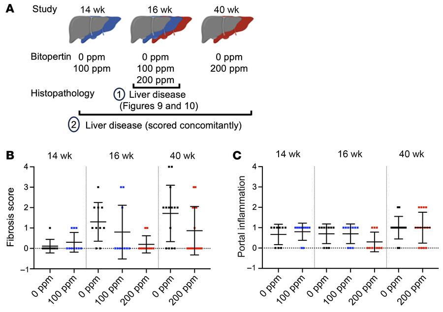 Fibrosis and portal inflammation evolution in male EPP animals enrolled ...