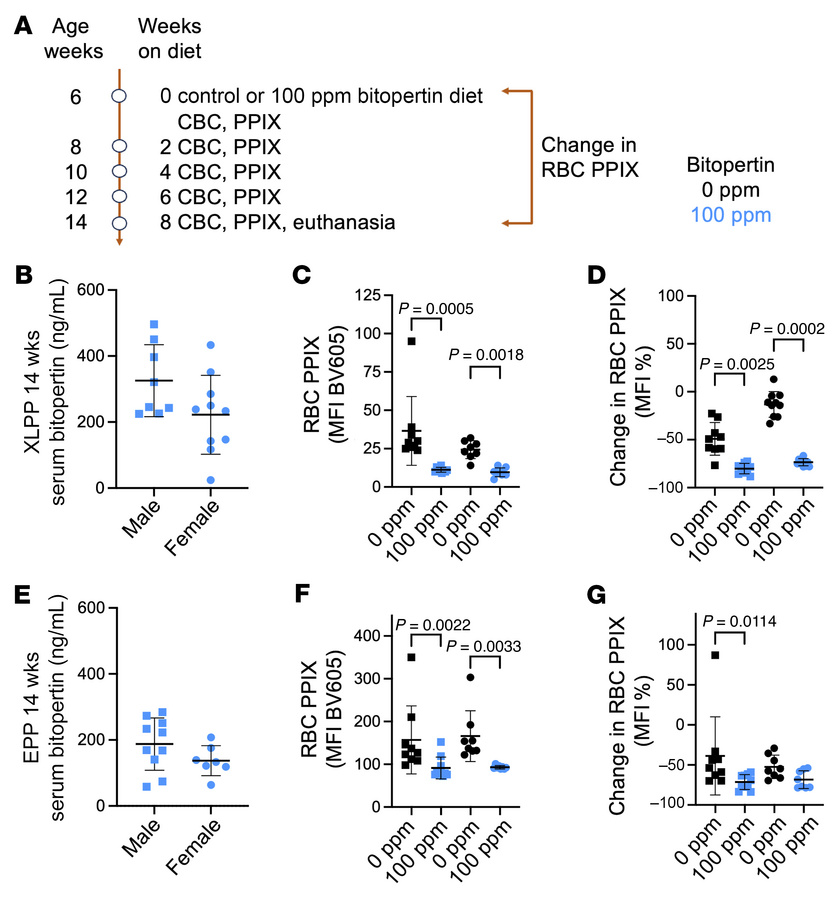 PPIX accumulation and erythroid differentiation in XLPP and EPP mice fed...