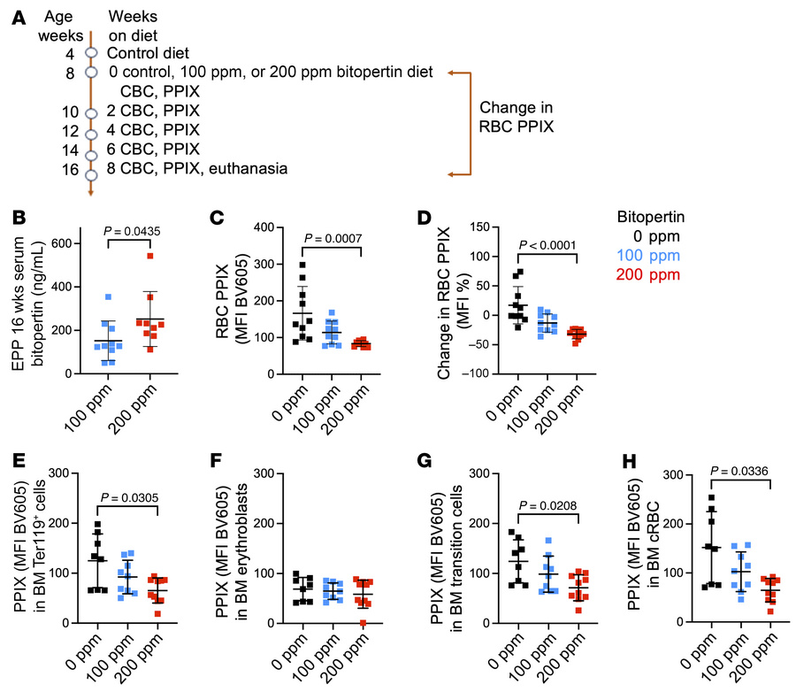 PPIX accumulation and erythroid differentiation in male EPP mice fed 100...