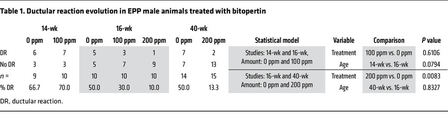 Ductular reaction evolution in EPP male animals treated with bitopertin